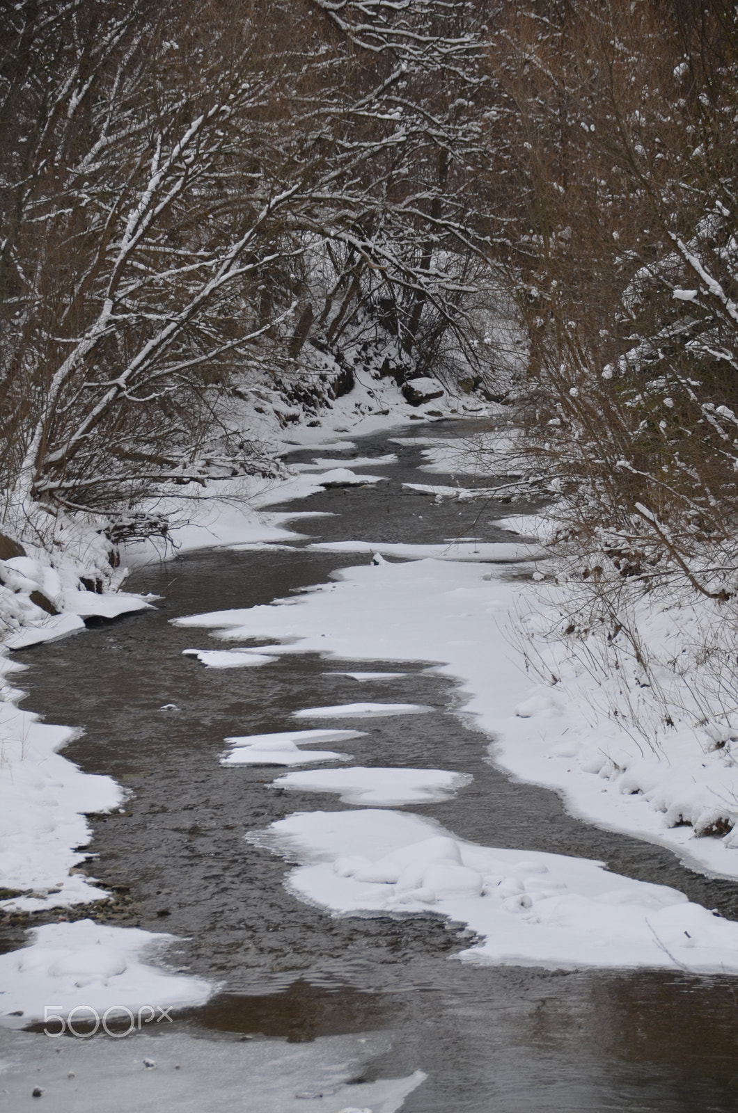 Nikon D7000 sample photo. Cold photography