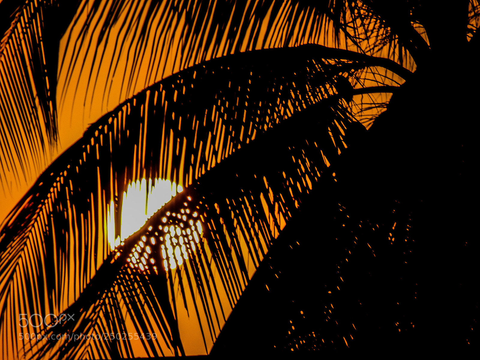 Sony Cyber-shot DSC-HX90V sample photo. Amazing sunrise photography