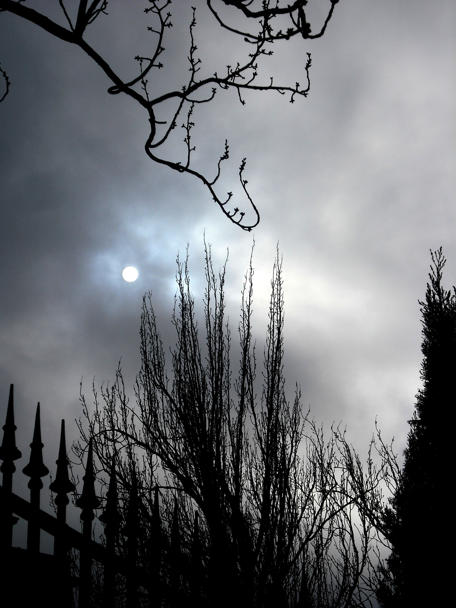 Fujifilm FinePix J10 sample photo. Niebla en el alma photography