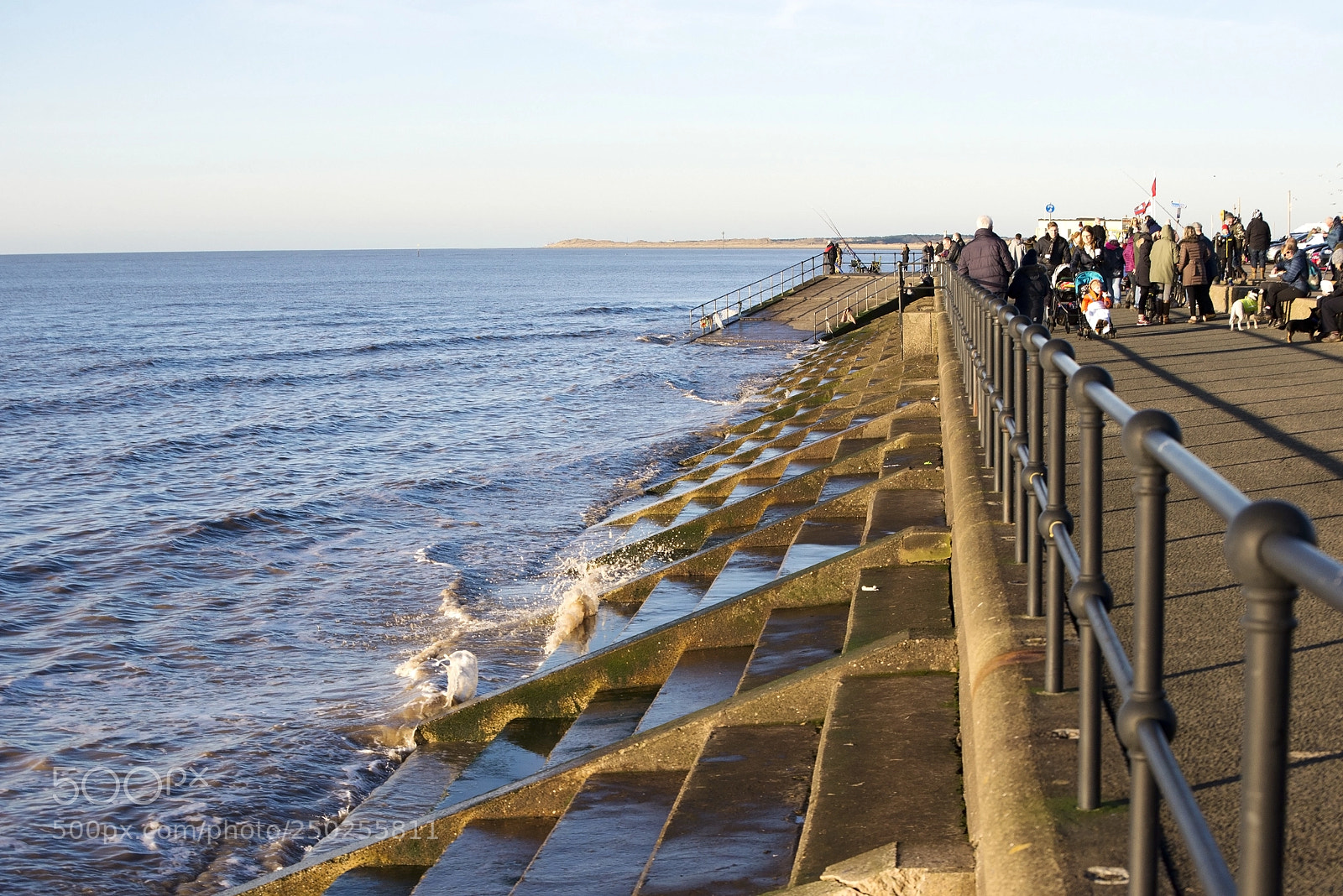 Nikon D600 sample photo. By the railings (1) photography
