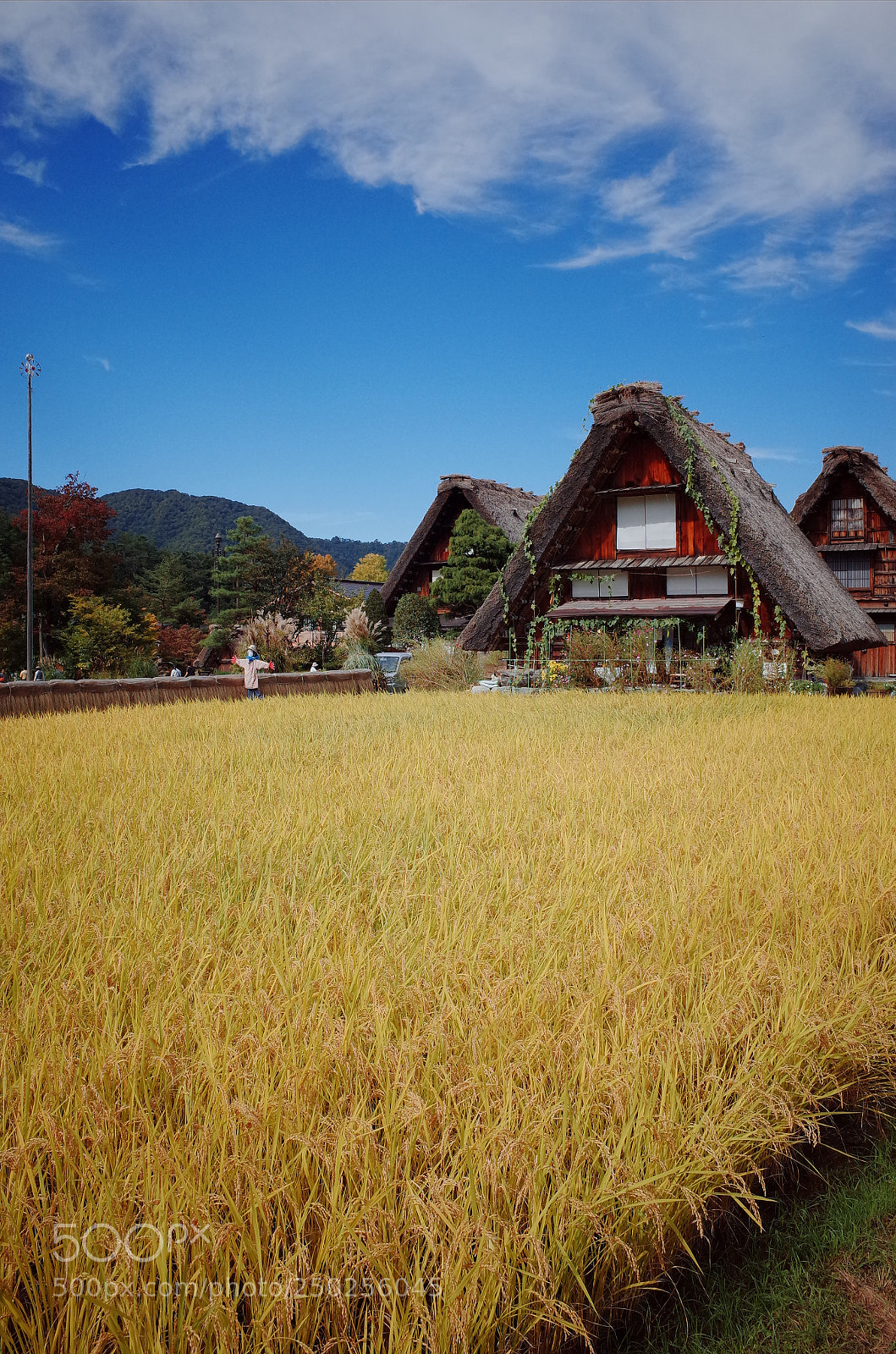 Ricoh GR sample photo. R photography