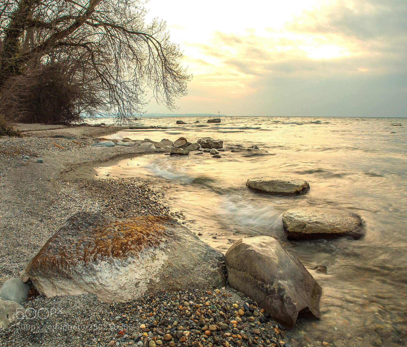 Canon EOS 5D Mark IV sample photo. Untitled photography