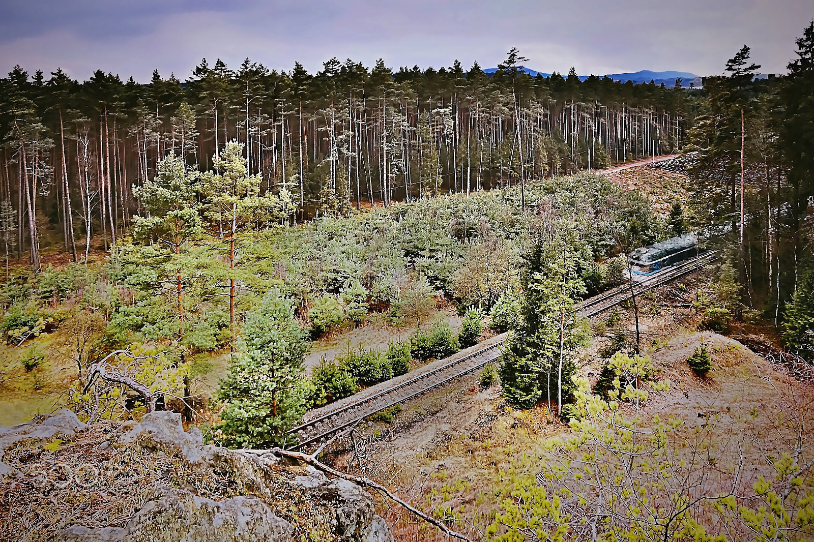 Nikon Coolpix P6000 sample photo. Single track number 080 with train leading mysterious pine forest in machuv kraj region in czech... photography