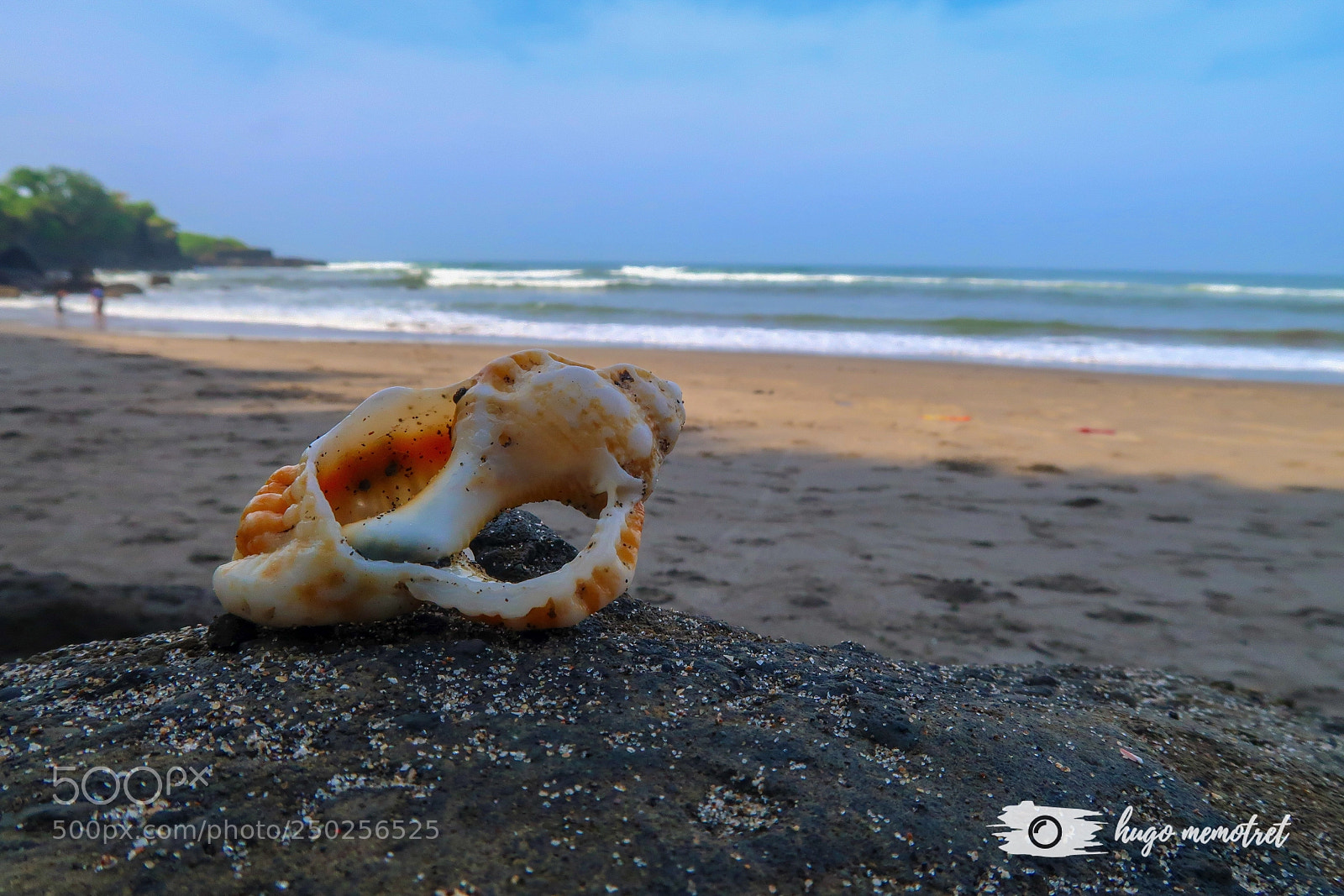 Canon PowerShot G7 X Mark II sample photo. Broken shell photography