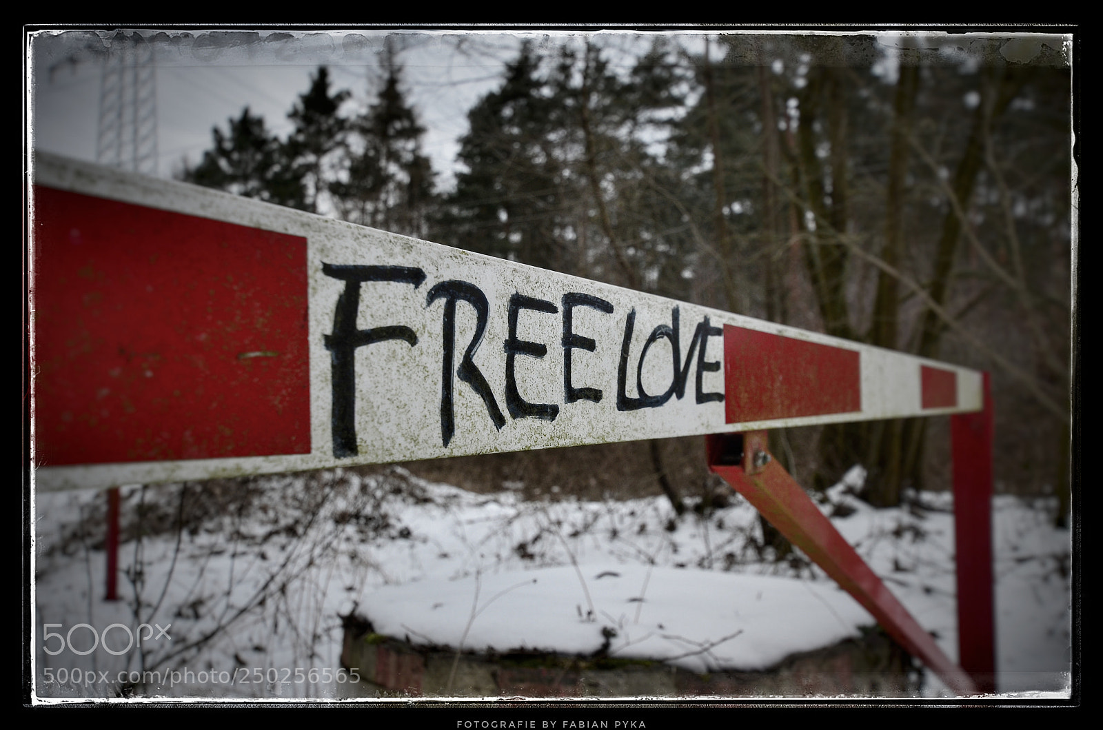 Nikon D5100 sample photo. Untitled photography