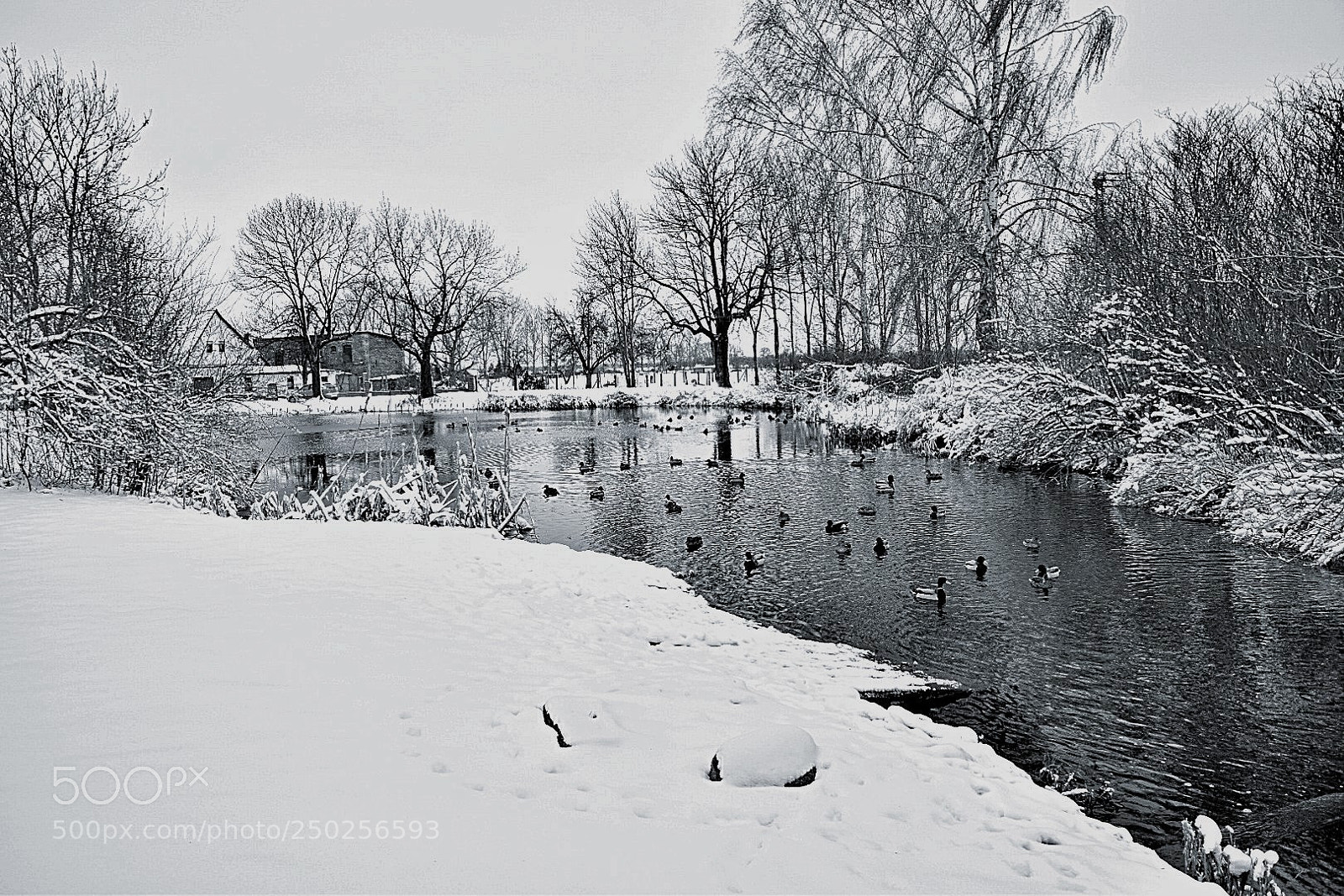 Nikon D5300 sample photo. Sch ner wintertag im photography