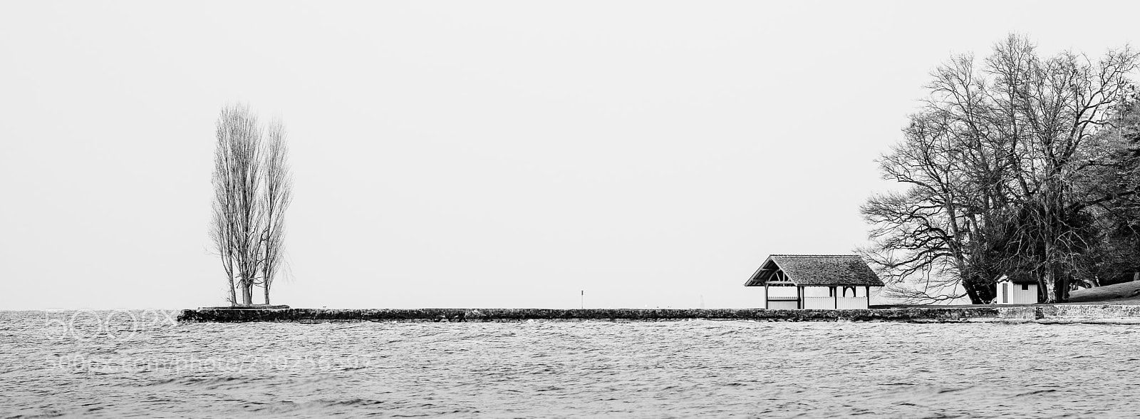 Canon EOS 5D Mark IV sample photo. Untitled photography