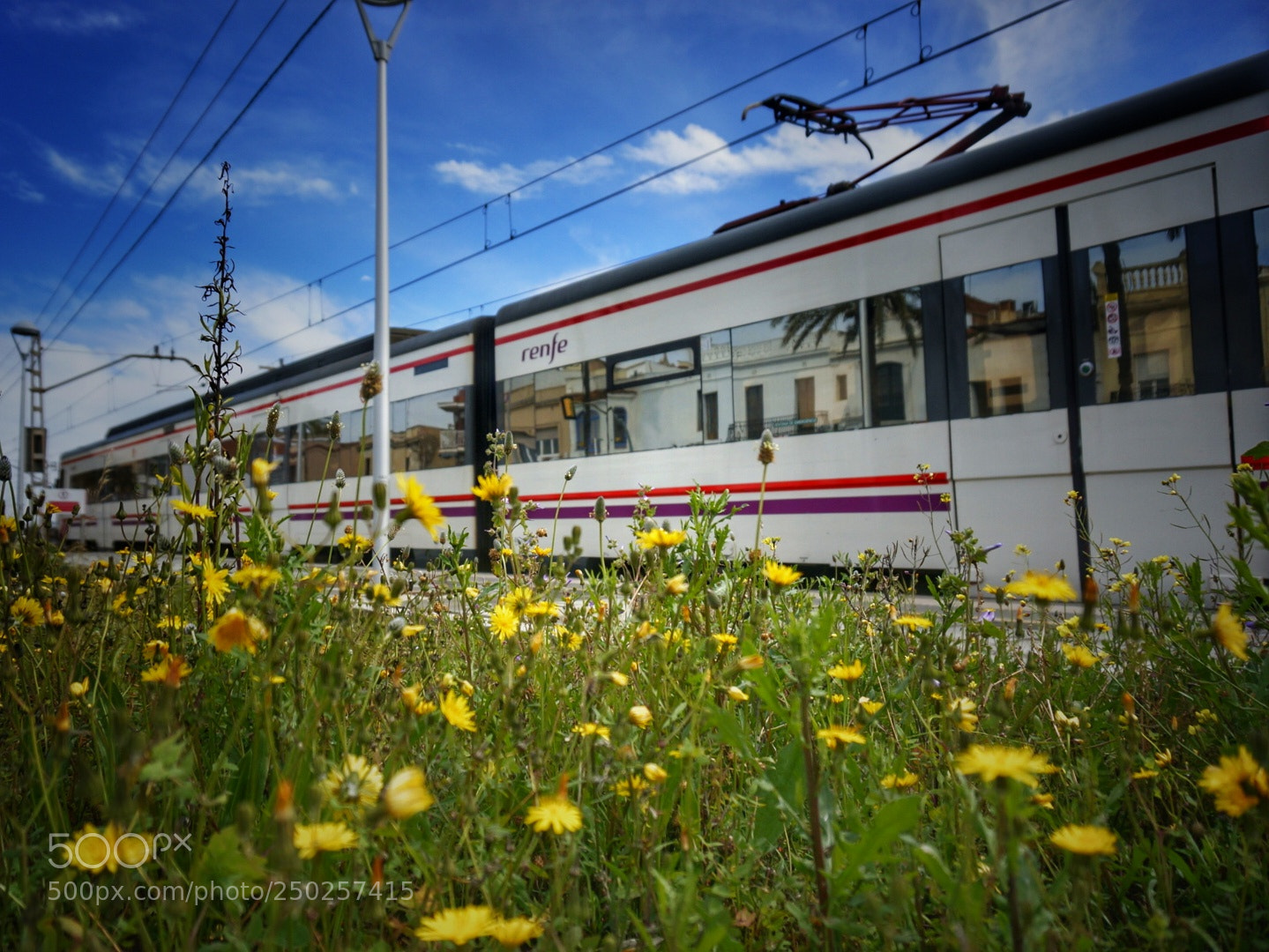 Sony Alpha NEX-6 sample photo. Primavera photography
