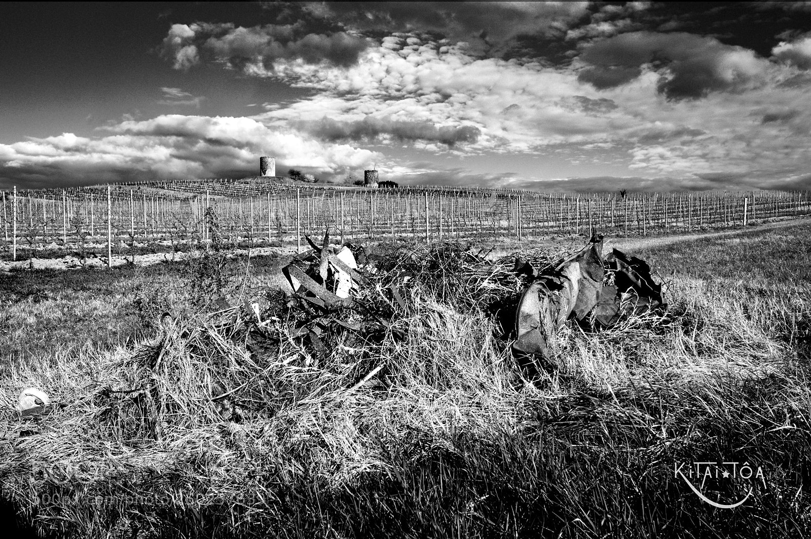 Fujifilm X-T20 sample photo. Les 2 tours et photography