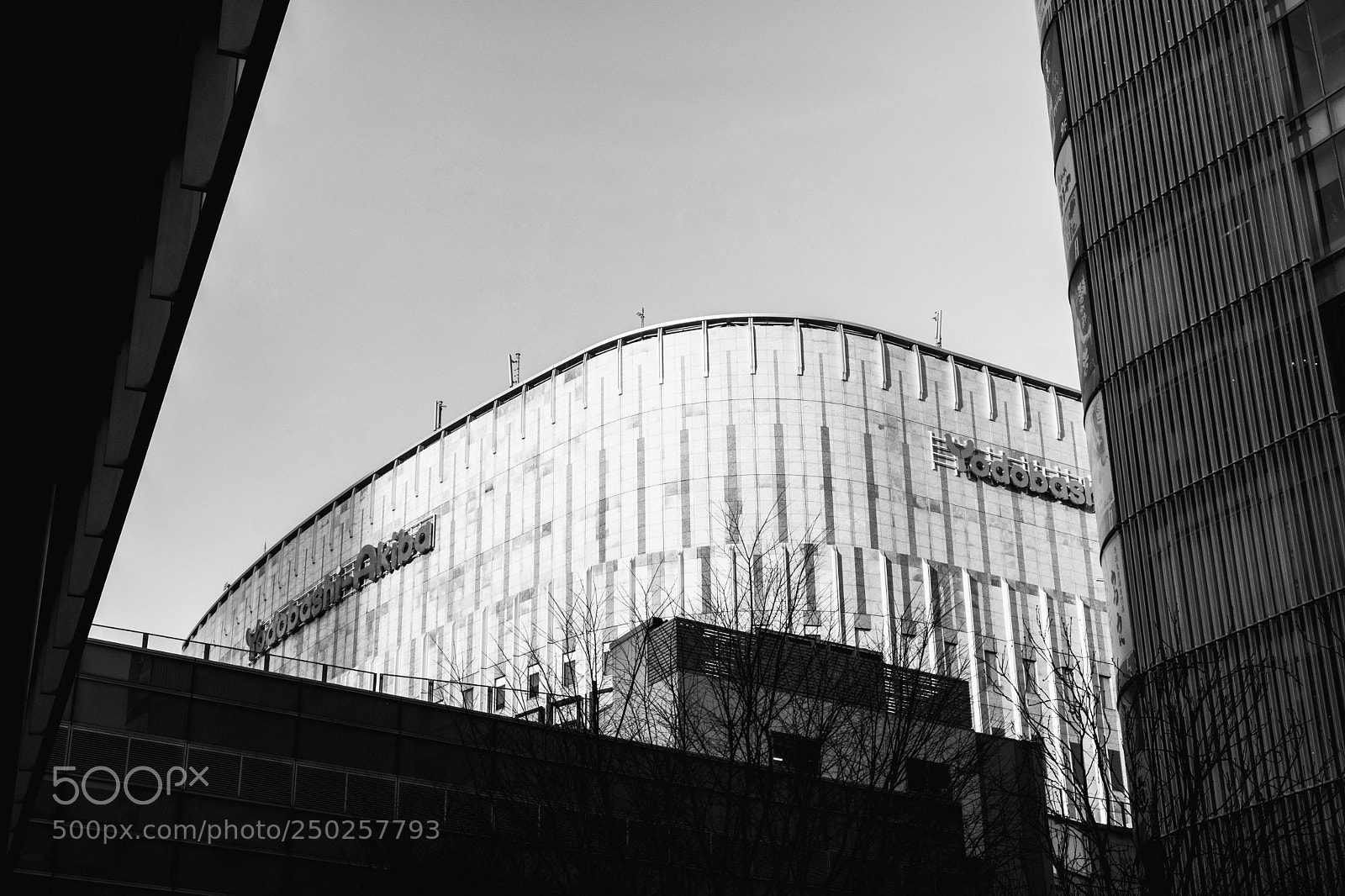 Fujifilm X-T20 sample photo. Untitled photography