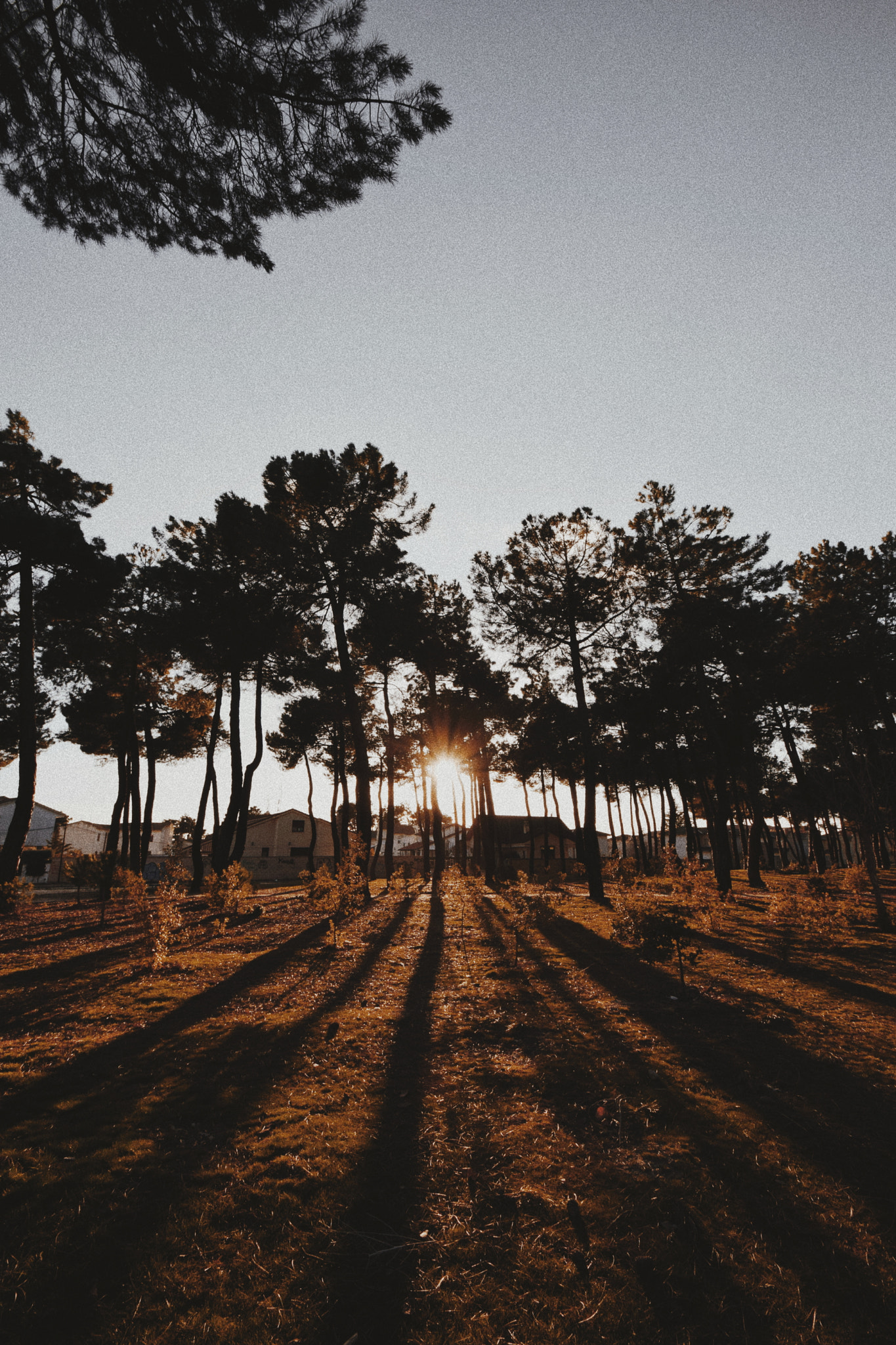 Nikon D3300 sample photo. Sunset photography
