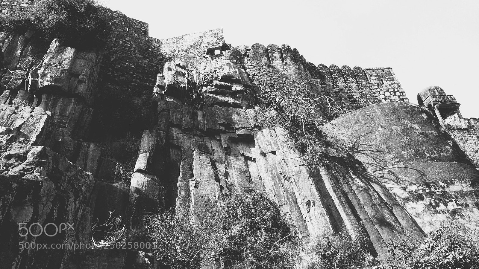 Xiaomi Redmi Note 4 sample photo. Untitled photography