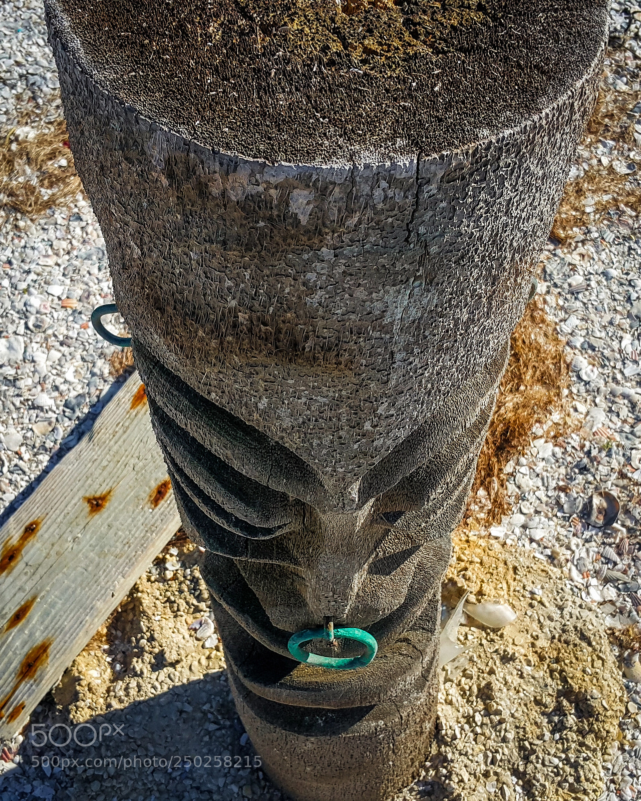 Samsung Galaxy Note4 sample photo. The totem of mud photography