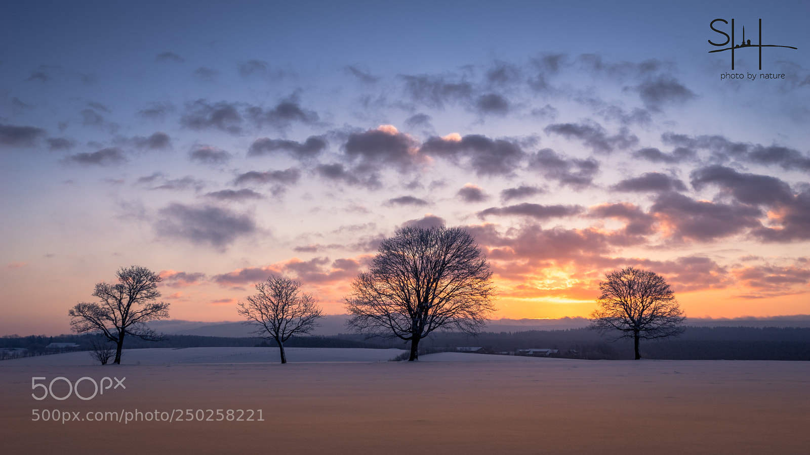 Sony a7 sample photo. Morgenstund photography