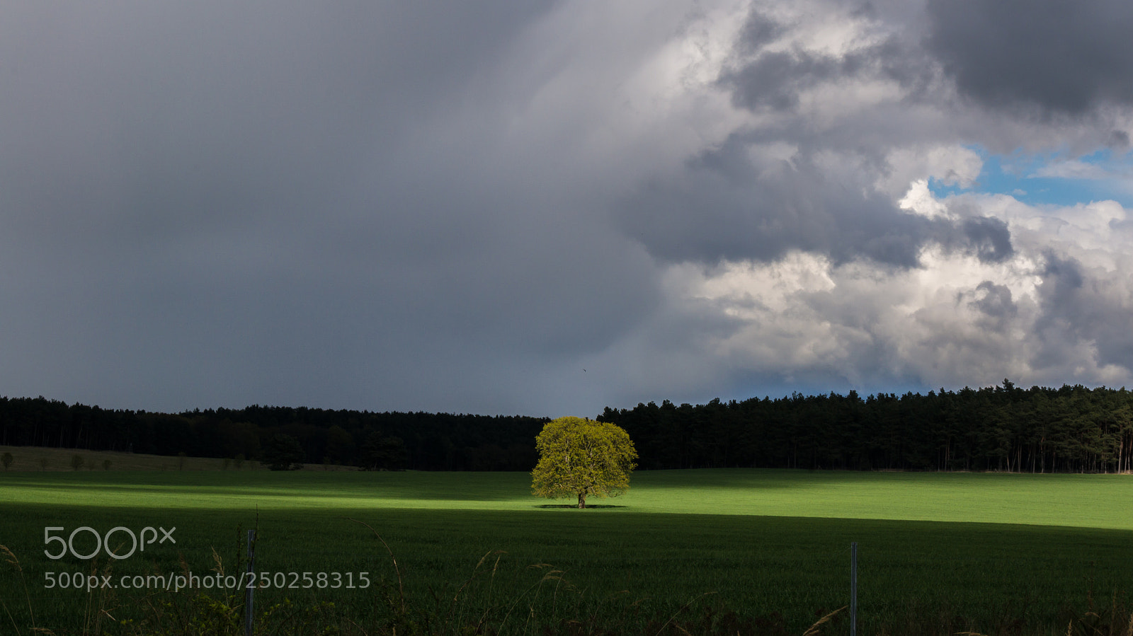 Sony Alpha NEX-5R sample photo. Last light photography
