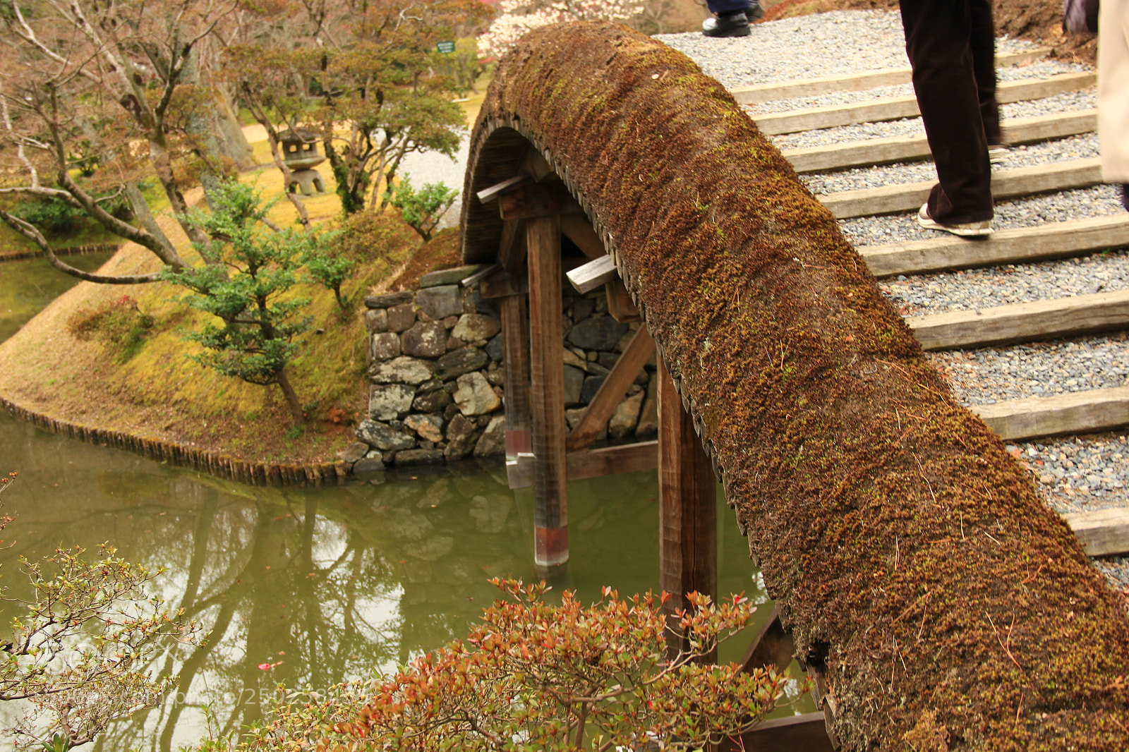 Canon EF-S 18-135mm F3.5-5.6 IS sample photo. Katsura imperial villa 2015 / 桂離宮 photography