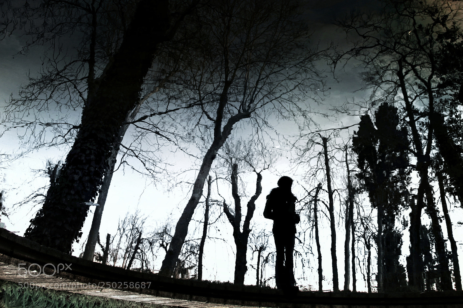 Canon EOS 60D sample photo. R e f l photography