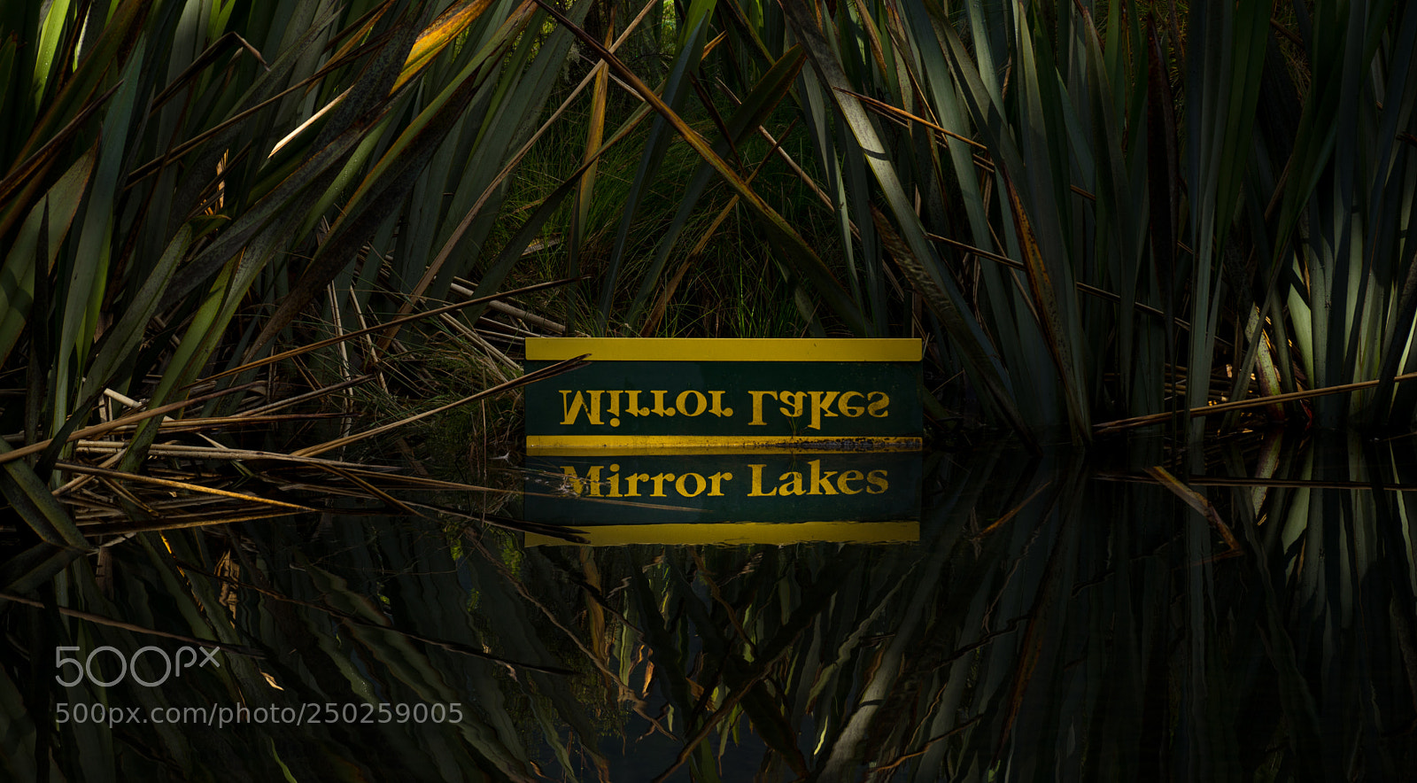 Sony a7 II sample photo. Mirror lakes photography