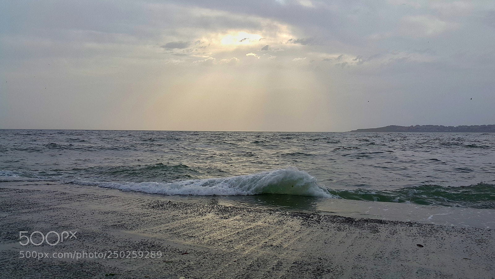 Samsung Galaxy Note4 sample photo. Untitled photography