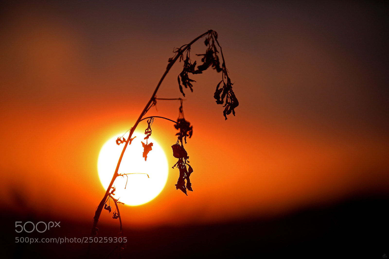 Canon EOS 5D Mark IV sample photo. A day ends... photography
