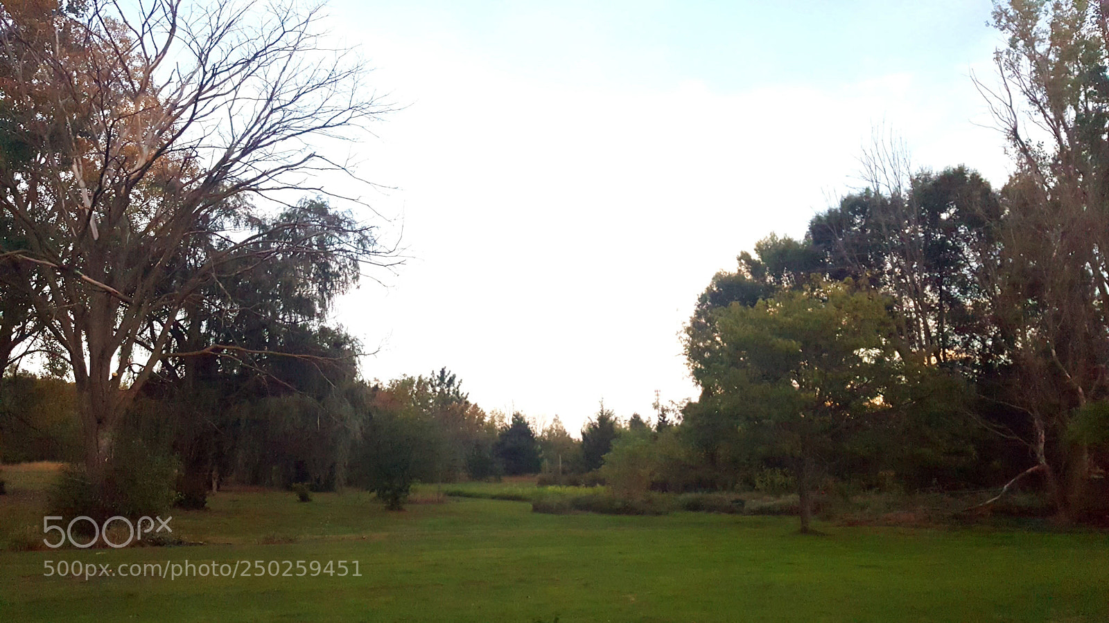 Samsung Galaxy Note5 sample photo. Untitled photography