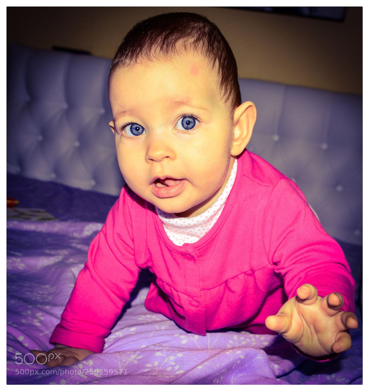 Nikon D800E sample photo. Untitled photography