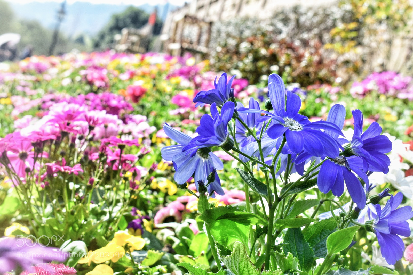 Nikon D5300 sample photo. Untitled photography