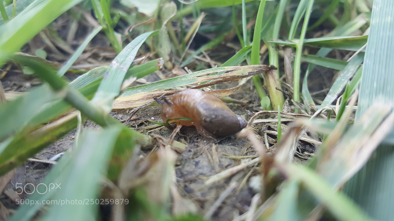 Samsung Galaxy Note5 sample photo. Untitled photography