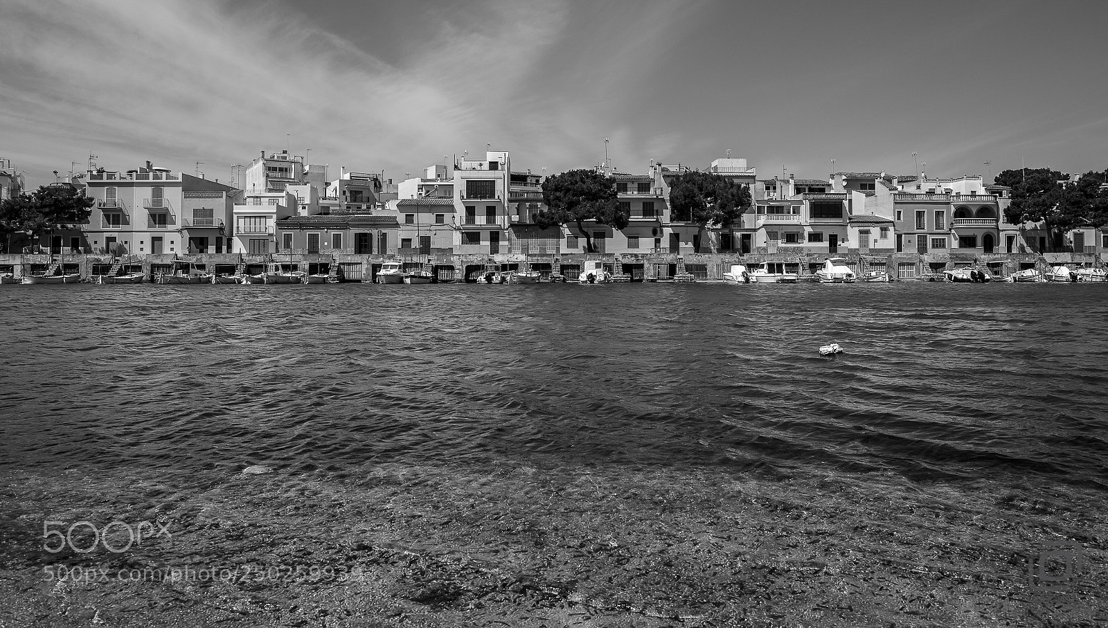 Canon EOS 5D Mark IV sample photo. Es port photography