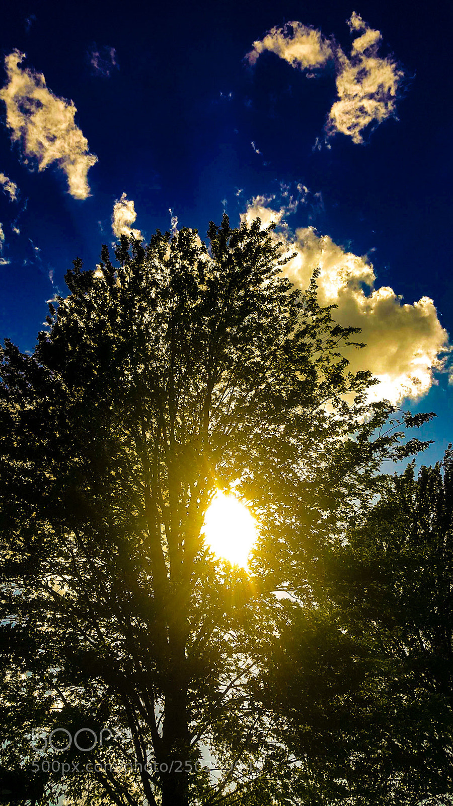 Samsung Galaxy Note5 sample photo. Untitled photography
