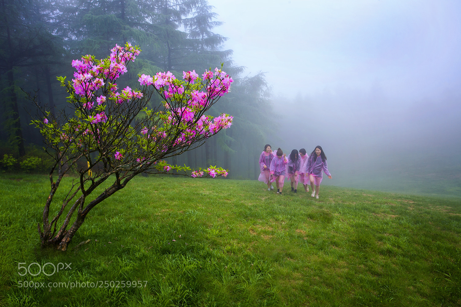 Canon EOS 5D sample photo. A walk on a photography