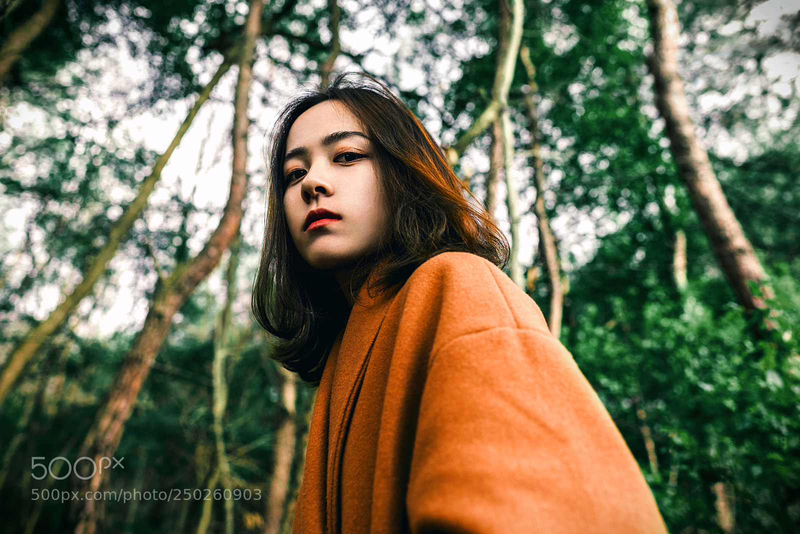 Nikon D810 sample photo. Xiaoyue dean photography
