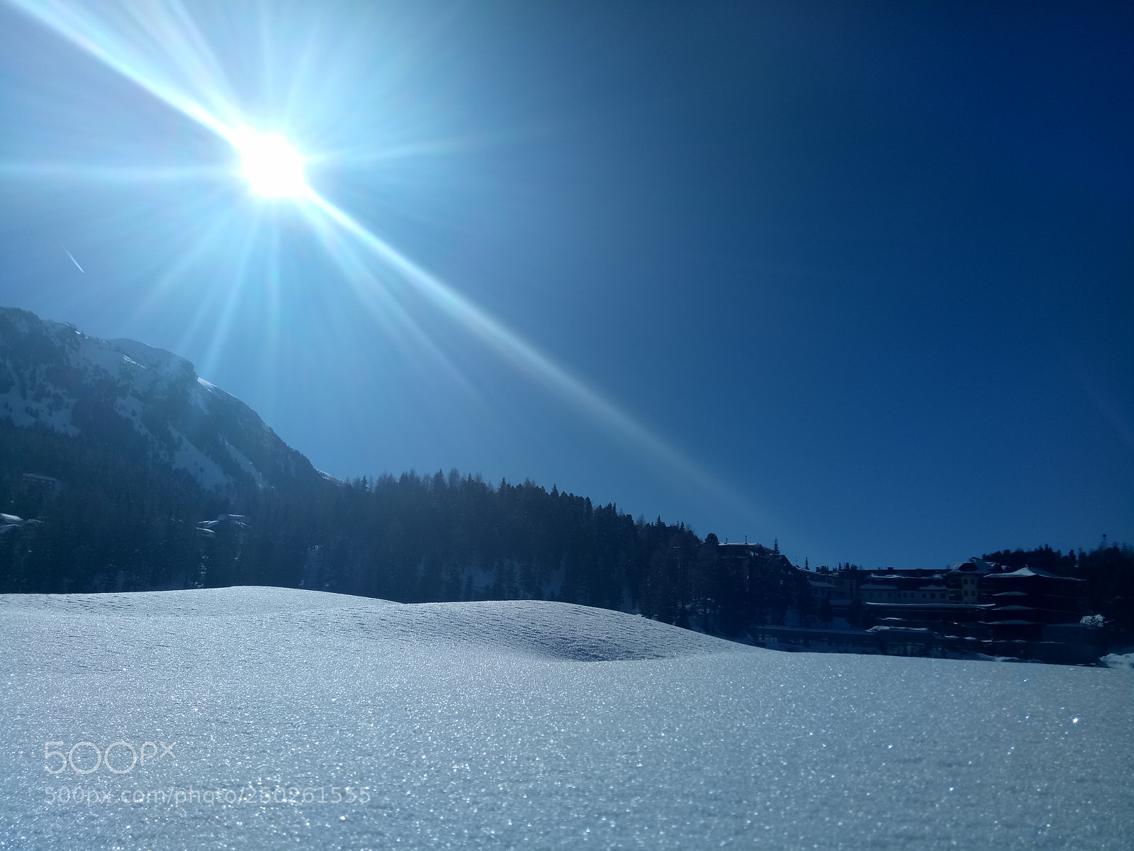 OPPO A1601 sample photo. Sunshine in winter photography