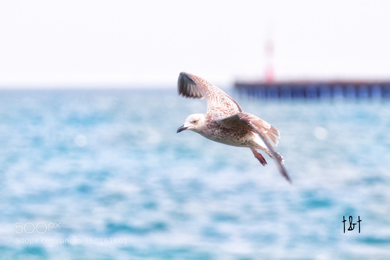 Canon EOS 7D sample photo. Untitled photography