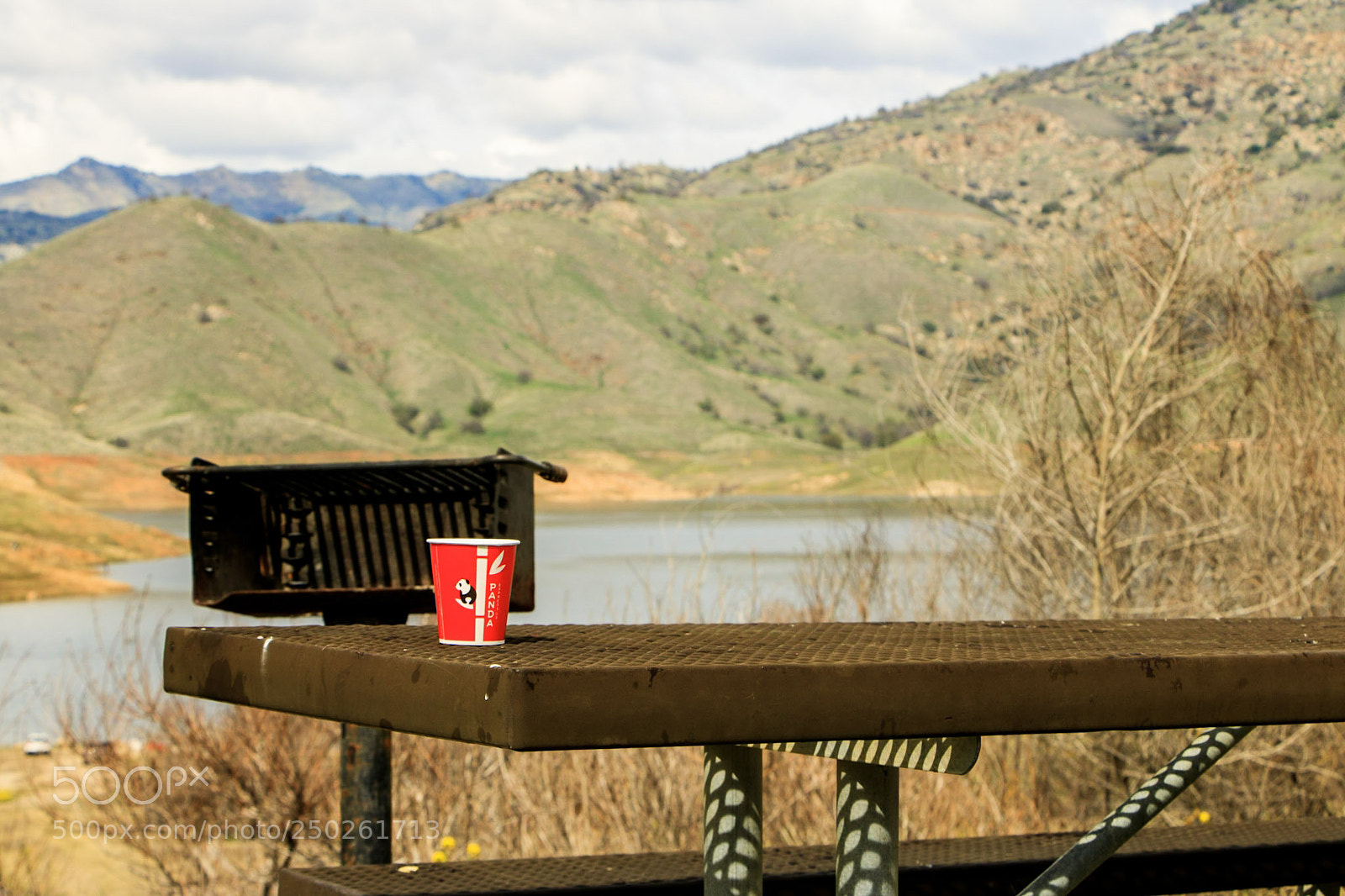 Canon EOS 760D (EOS Rebel T6s / EOS 8000D) sample photo. Cup photography