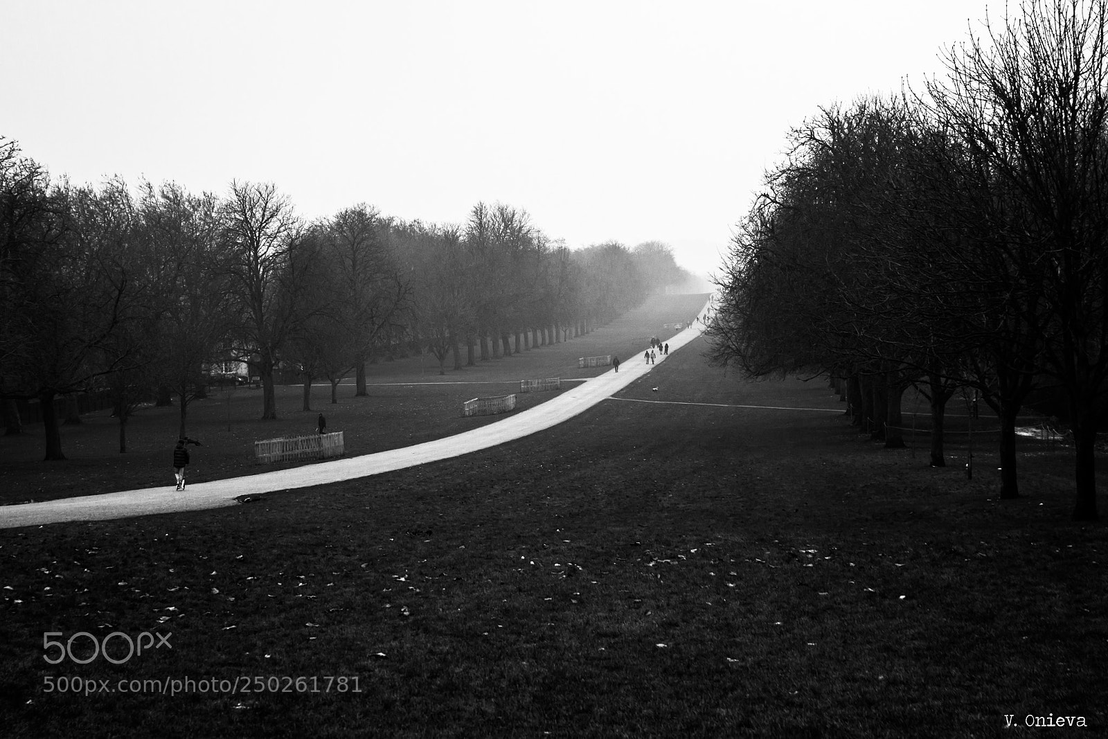 Canon EOS 500D (EOS Rebel T1i / EOS Kiss X3) sample photo. Windsor photography