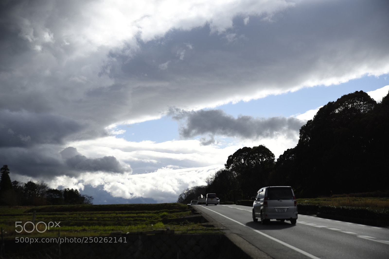 Nikon D810 sample photo. Sunny day photography