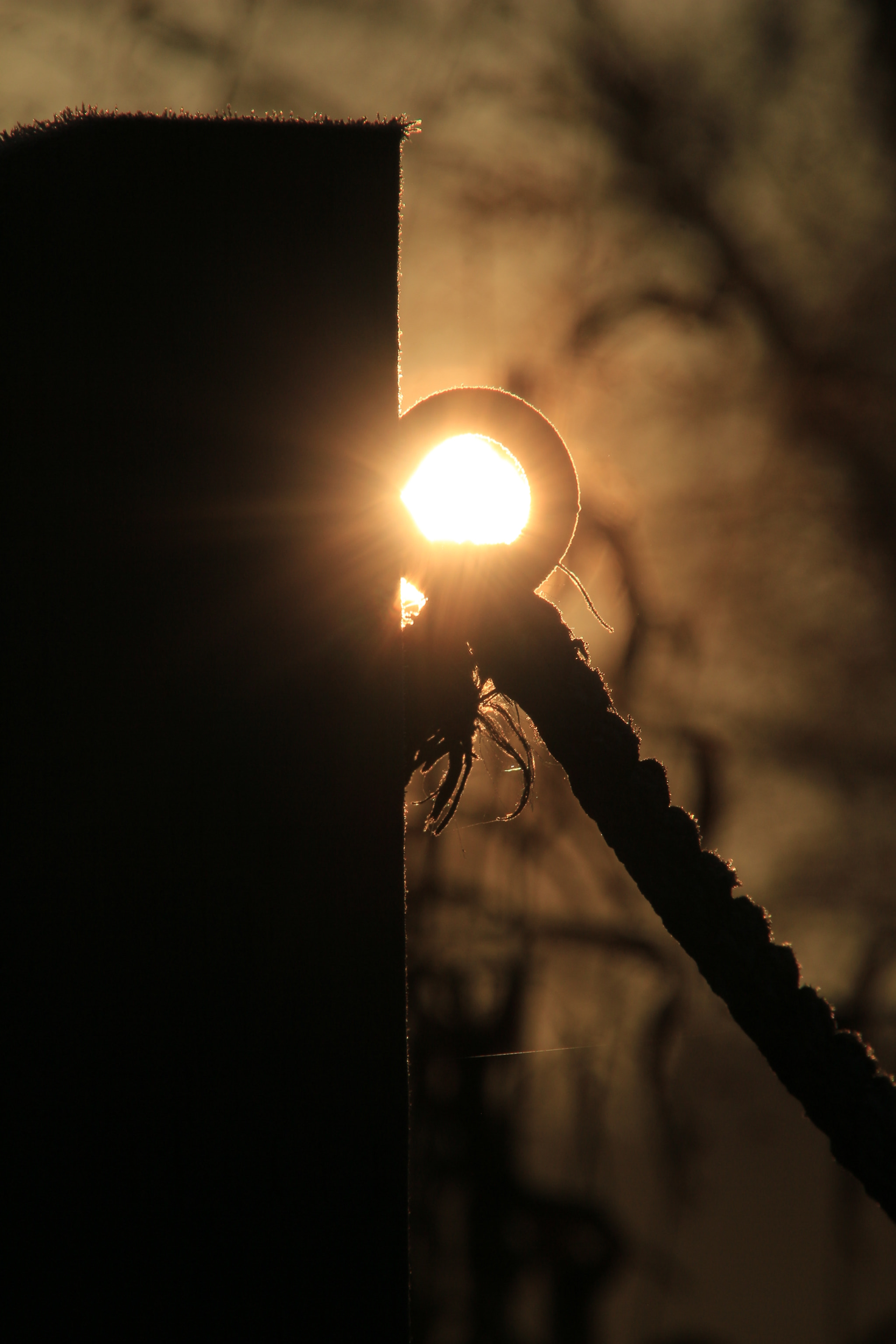 Canon EOS 700D (EOS Rebel T5i / EOS Kiss X7i) sample photo. Ring of fire photography