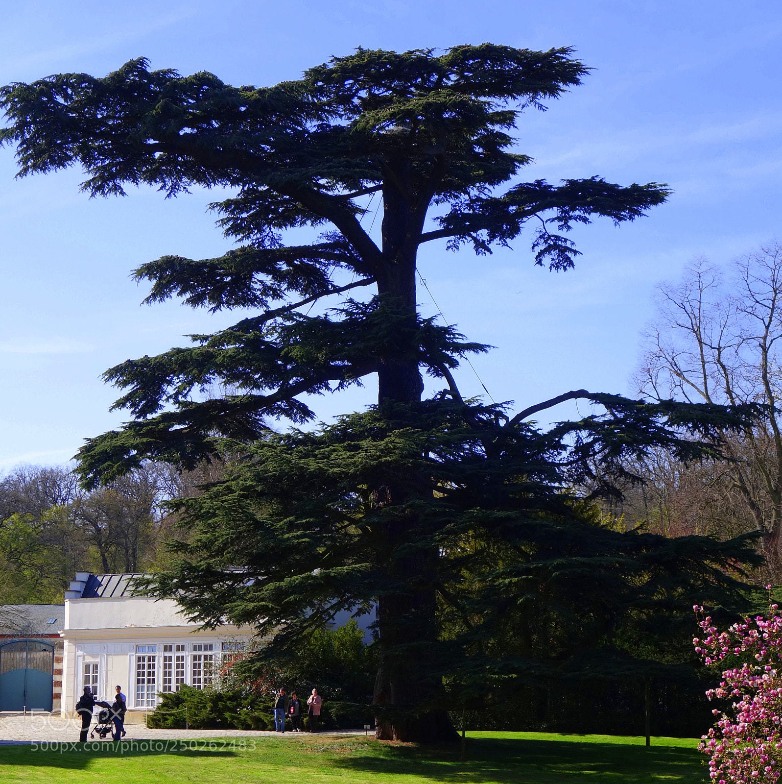 Sony Cyber-shot DSC-RX100 II sample photo. Ceinture verte paris () copie photography