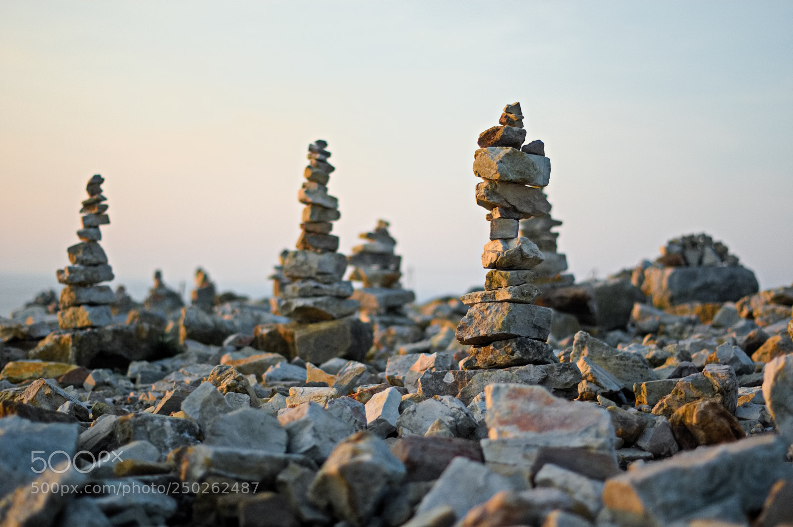 Pentax K-3 sample photo. Rock tree photography