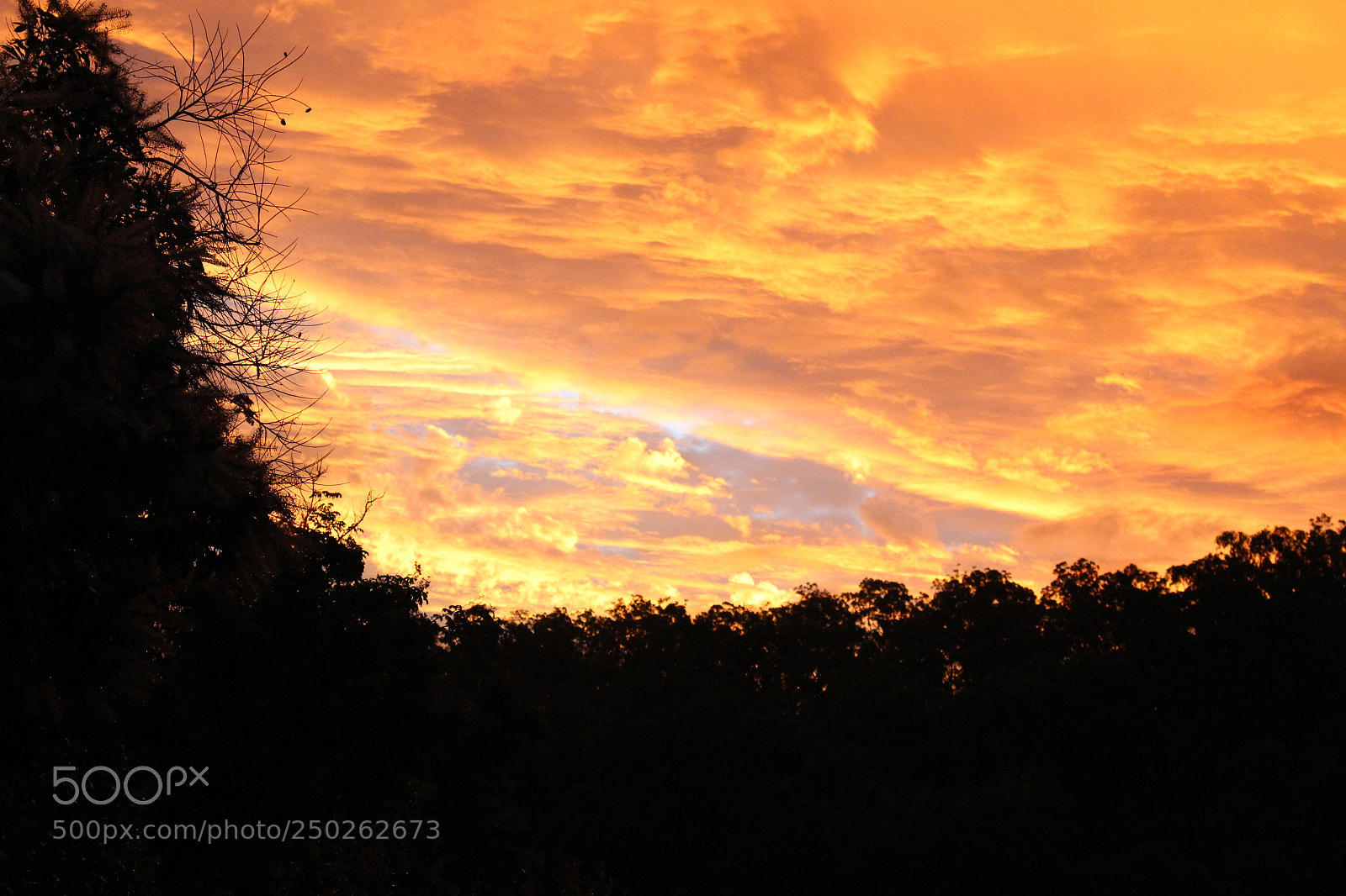 Canon EOS 700D (EOS Rebel T5i / EOS Kiss X7i) sample photo. Amazing sunset photography