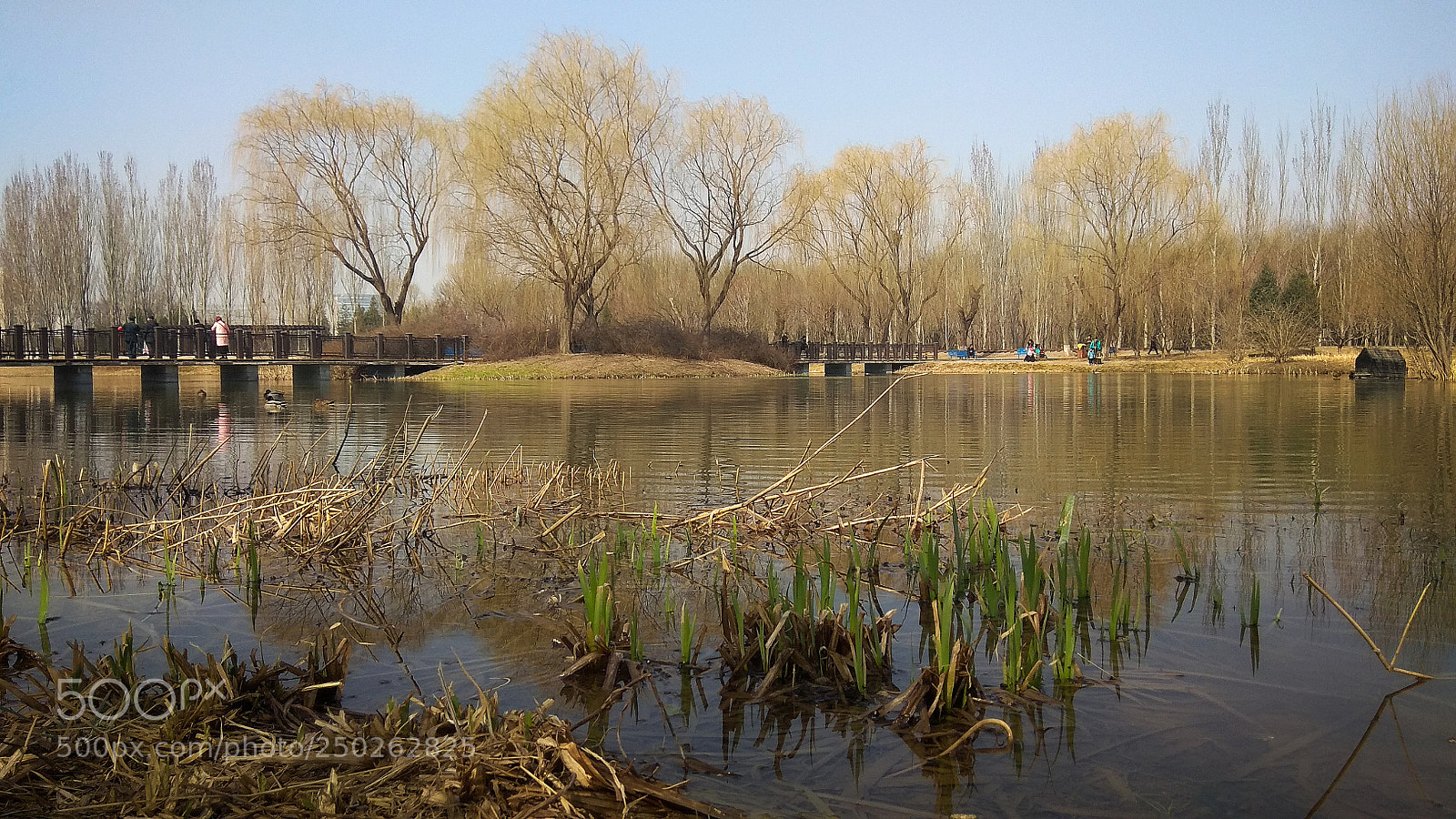 Xiaomi Redmi Note 4X sample photo. Spring photography