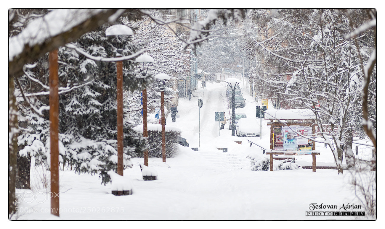 Canon EOS 7D Mark II sample photo. Hometown view photography