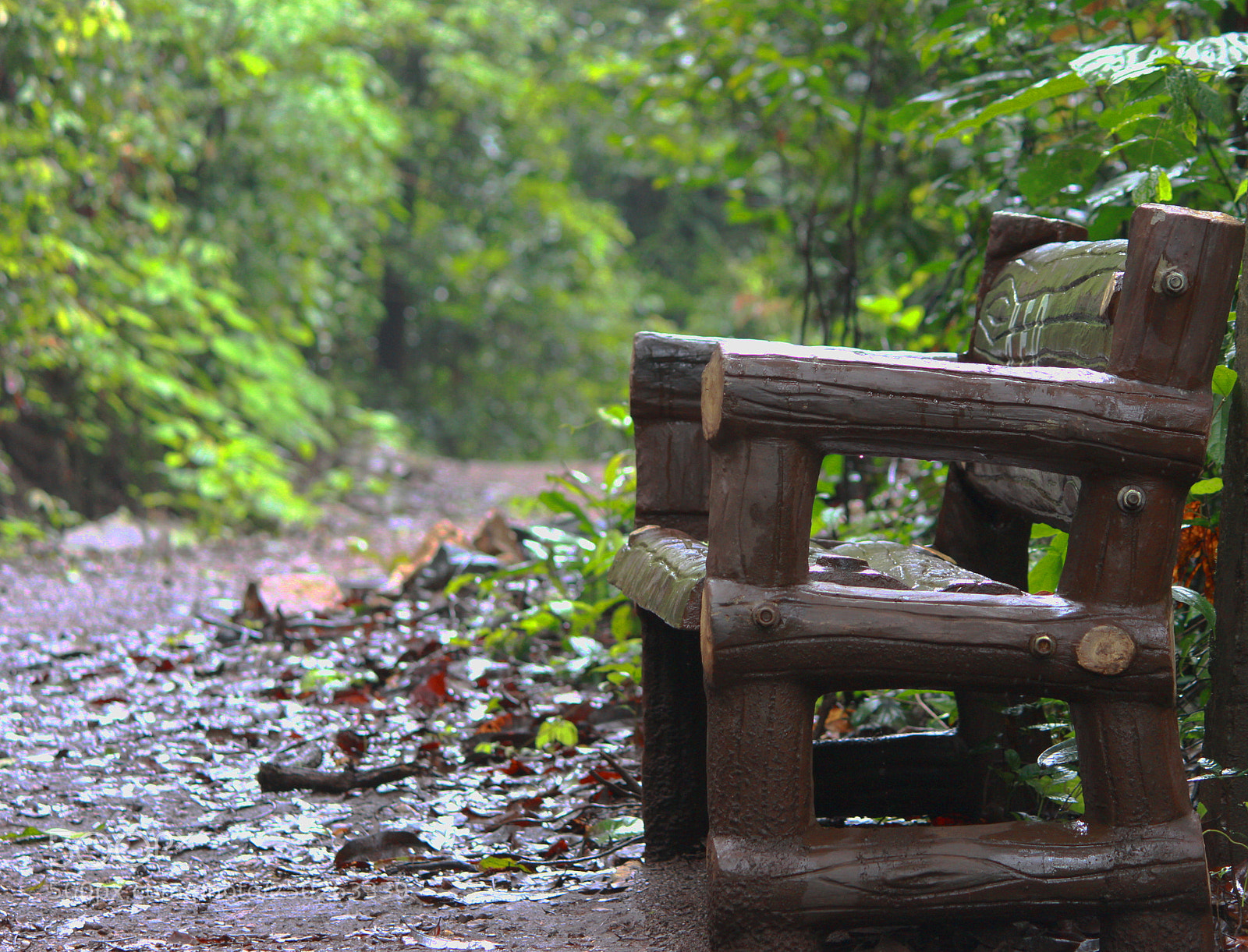Canon EF-S 55-250mm F4-5.6 IS II sample photo. Lone bench photography
