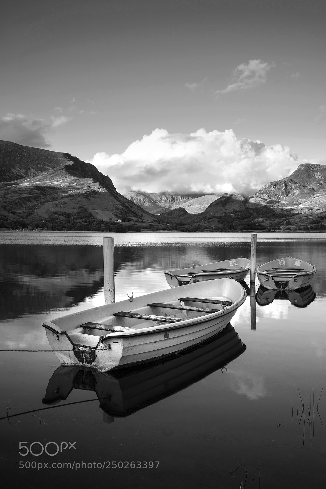 Nikon D800 sample photo. Black and white landscape photography