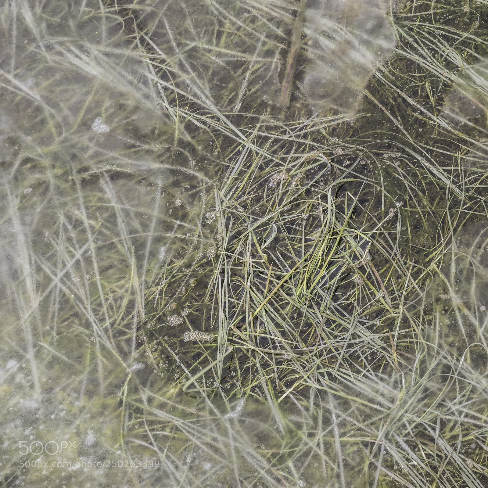 Nikon D800 sample photo. Intimate landscape image of photography