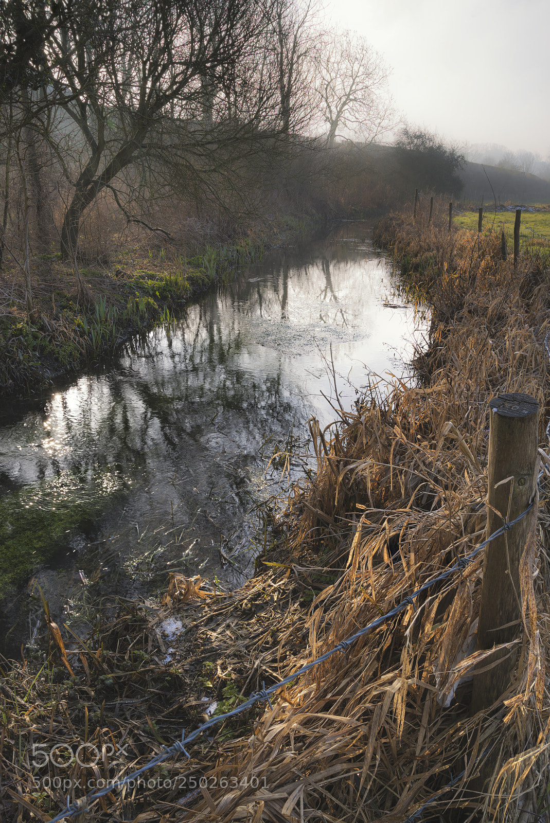 Nikon D800 sample photo. Cold misty winter landscape photography