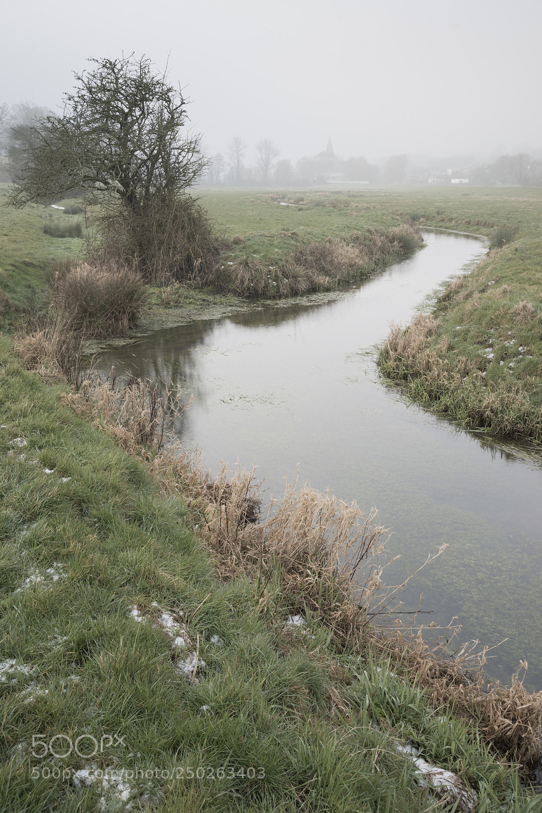 Nikon D800 sample photo. Cold misty winter landscape photography