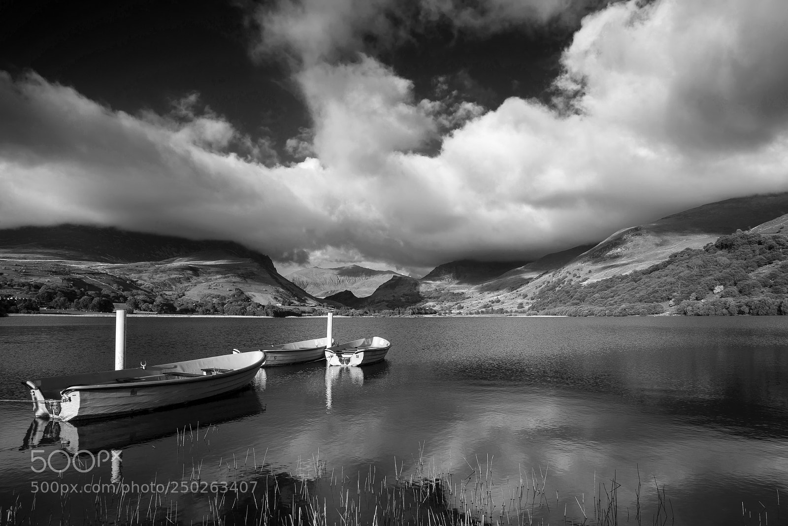 Nikon D800 sample photo. Black and white landscape photography