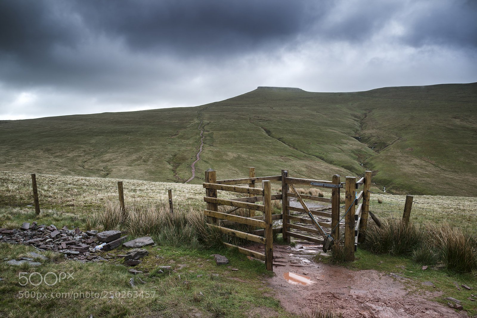 Nikon D600 sample photo. Footpath in brecon beacons photography